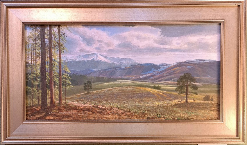 Click to view detail for From Ute Valley 12x24 $2450